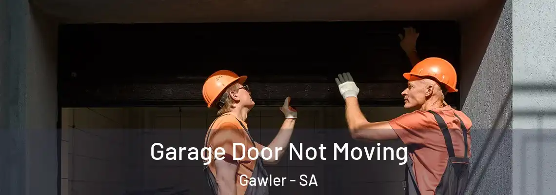 Garage Door Not Moving Gawler - SA