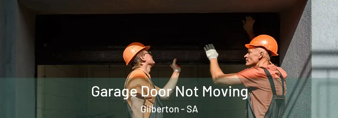 Garage Door Not Moving Gilberton - SA