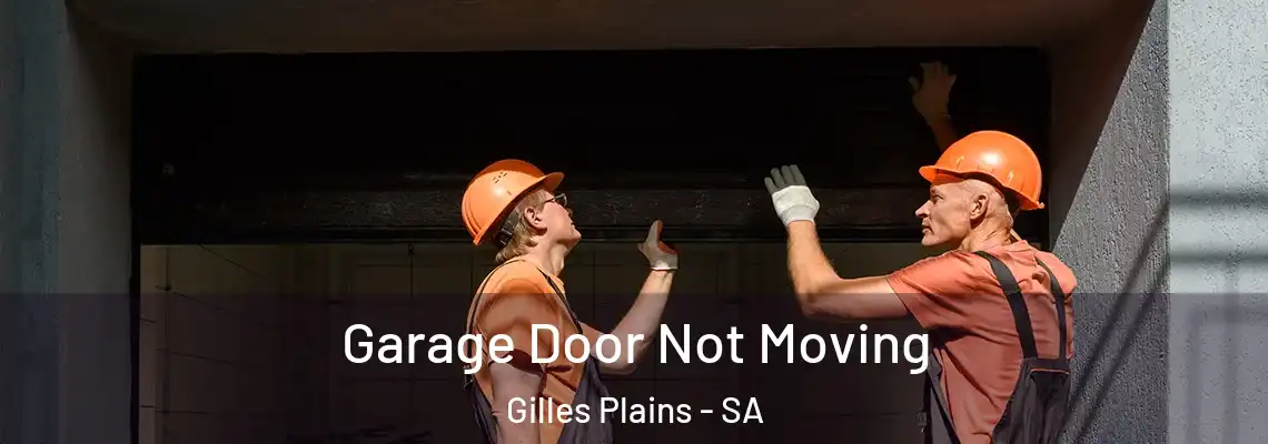 Garage Door Not Moving Gilles Plains - SA