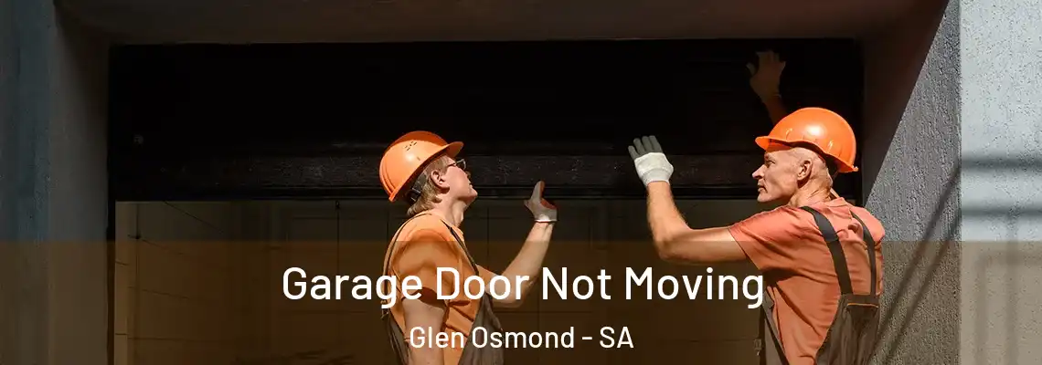  Garage Door Not Moving Glen Osmond - SA