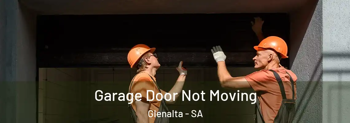 Garage Door Not Moving Glenalta - SA