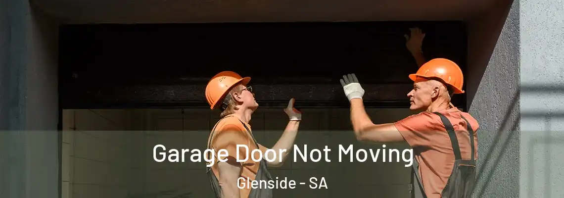 Garage Door Not Moving Glenside - SA