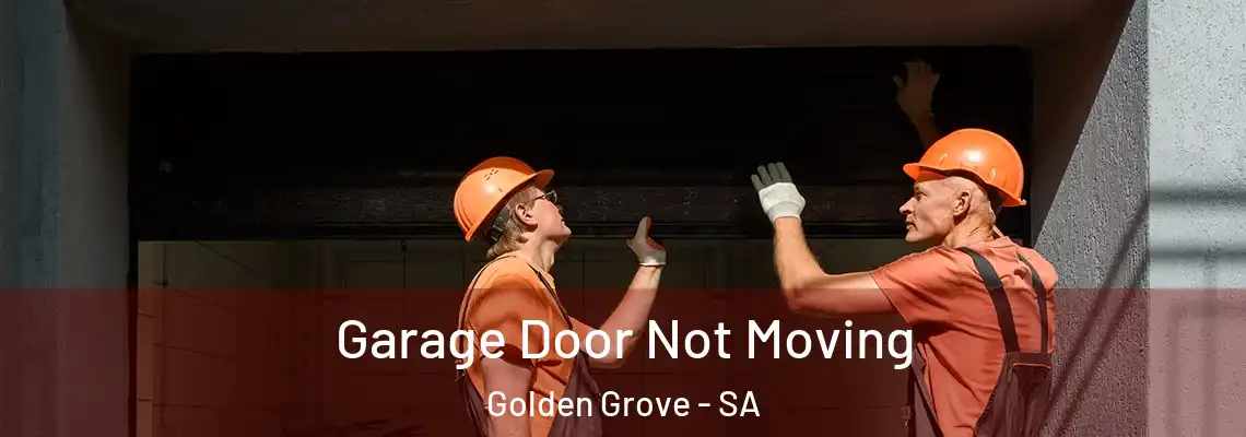 Garage Door Not Moving Golden Grove - SA