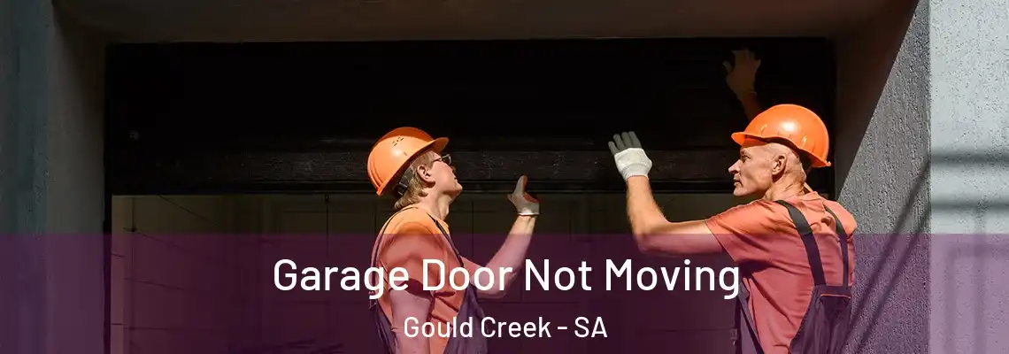 Garage Door Not Moving Gould Creek - SA