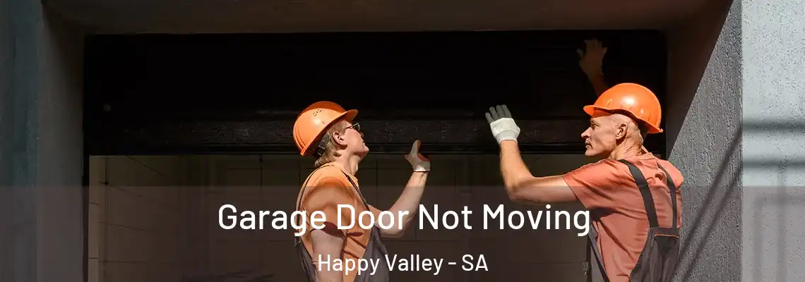 Garage Door Not Moving Happy Valley - SA