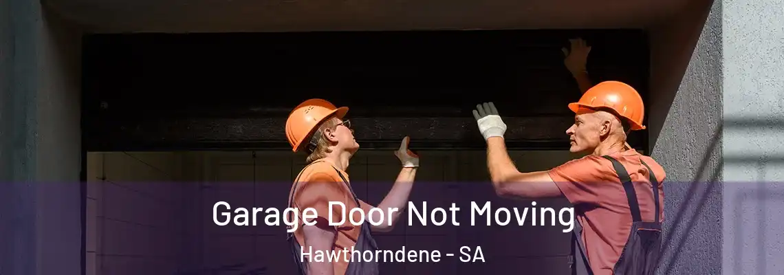 Garage Door Not Moving Hawthorndene - SA