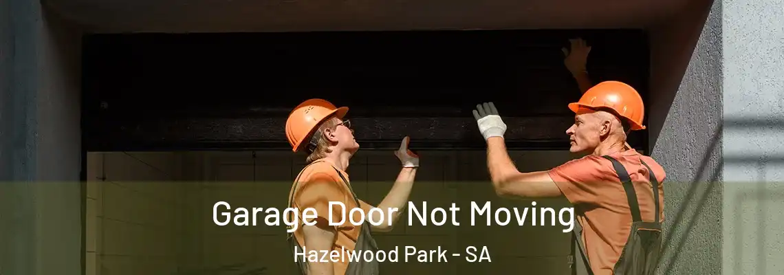  Garage Door Not Moving Hazelwood Park - SA