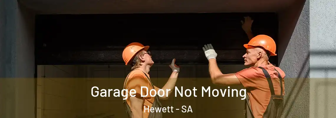 Garage Door Not Moving Hewett - SA