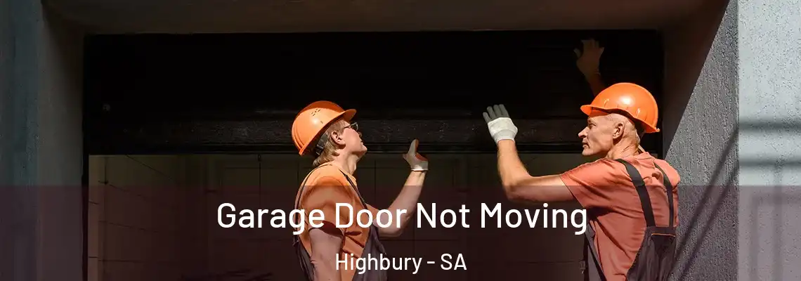 Garage Door Not Moving Highbury - SA