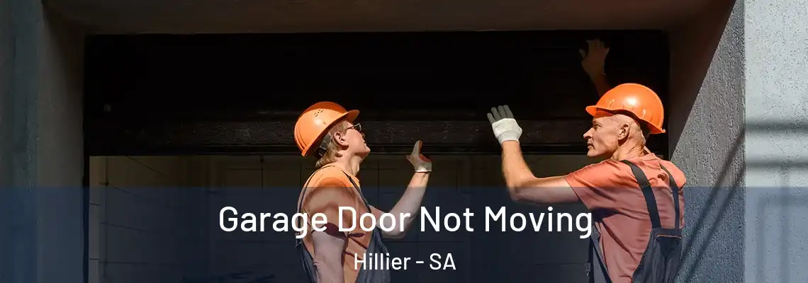  Garage Door Not Moving Hillier - SA