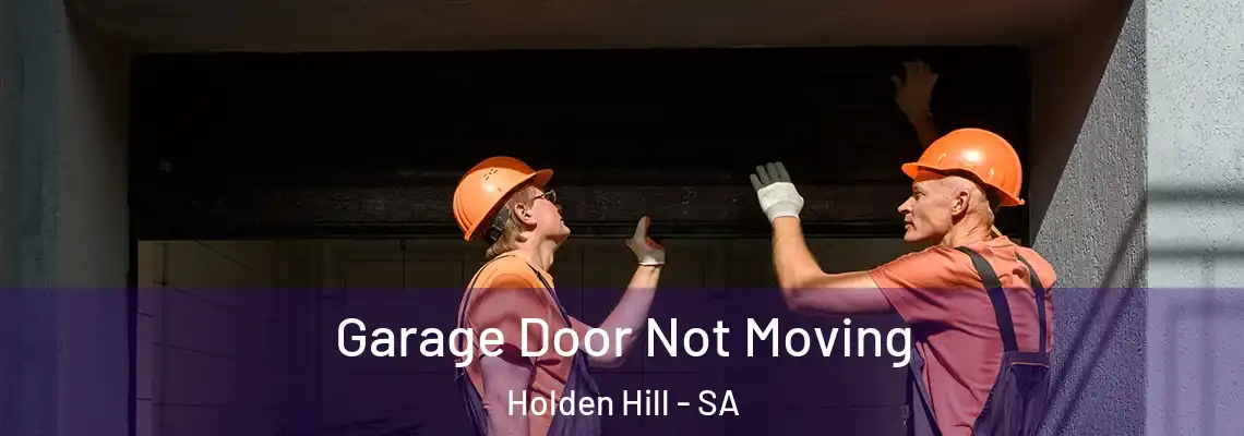 Garage Door Not Moving Holden Hill - SA