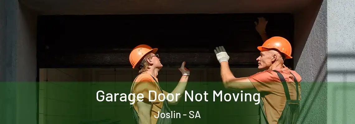 Garage Door Not Moving Joslin - SA