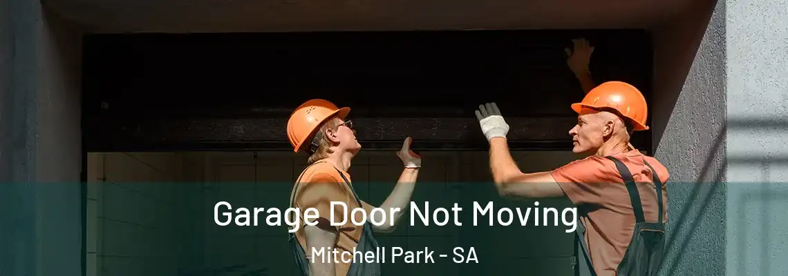  Garage Door Not Moving Mitchell Park - SA