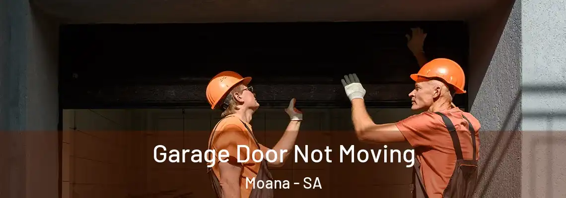 Garage Door Not Moving Moana - SA