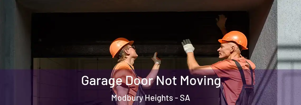 Garage Door Not Moving Modbury Heights - SA
