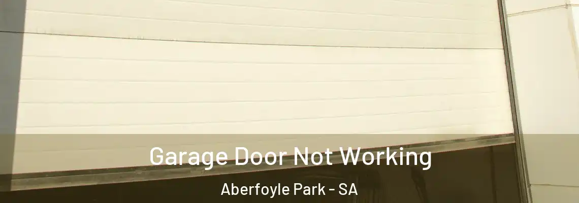 Garage Door Not Working Aberfoyle Park - SA