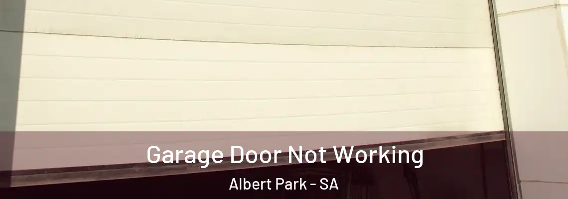 Garage Door Not Working Albert Park - SA