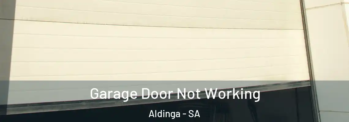 Garage Door Not Working Aldinga - SA