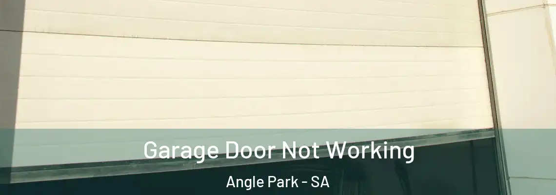 Garage Door Not Working Angle Park - SA