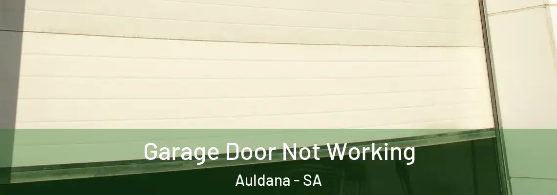 Garage Door Not Working Auldana - SA
