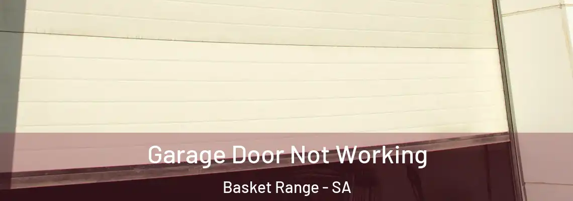 Garage Door Not Working Basket Range - SA