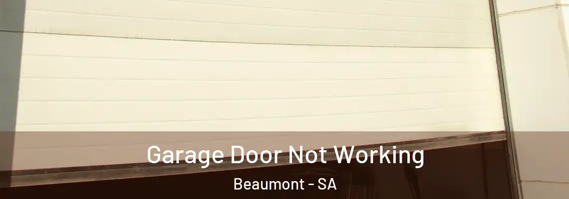 Garage Door Not Working Beaumont - SA