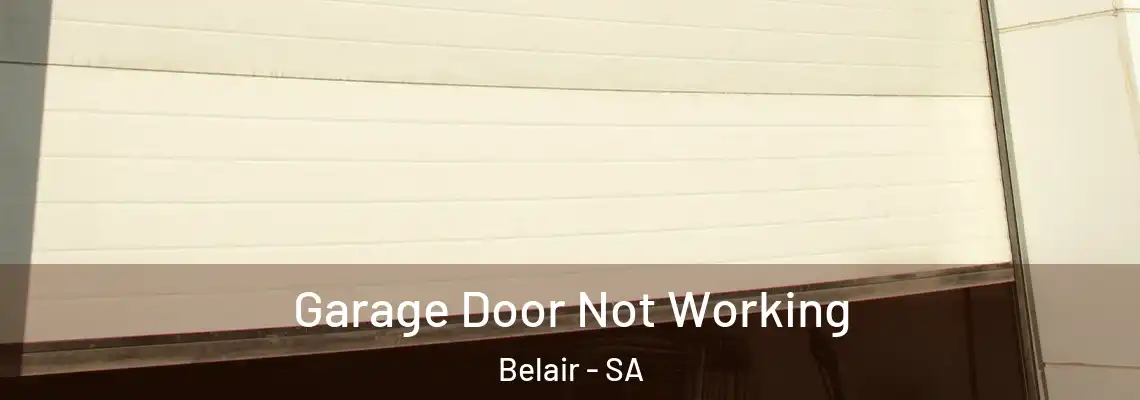 Garage Door Not Working Belair - SA