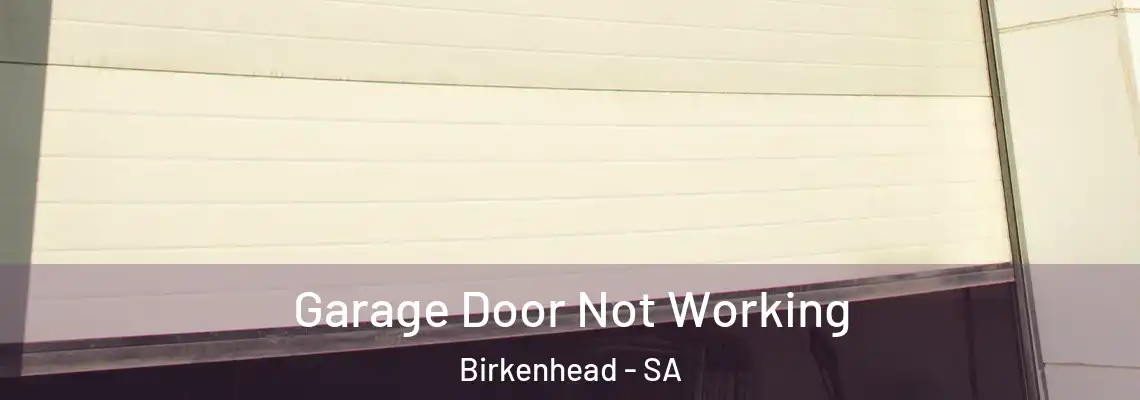 Garage Door Not Working Birkenhead - SA