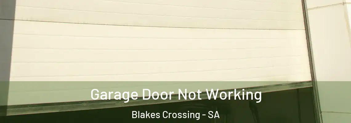 Garage Door Not Working Blakes Crossing - SA