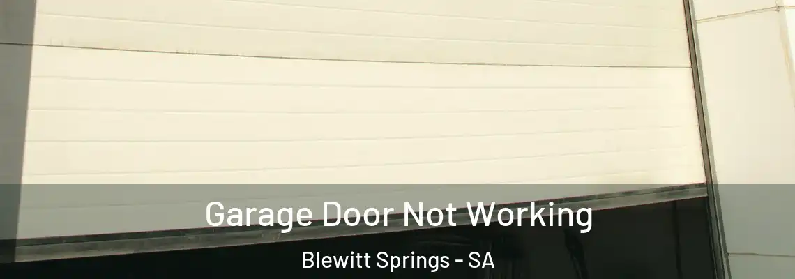 Garage Door Not Working Blewitt Springs - SA