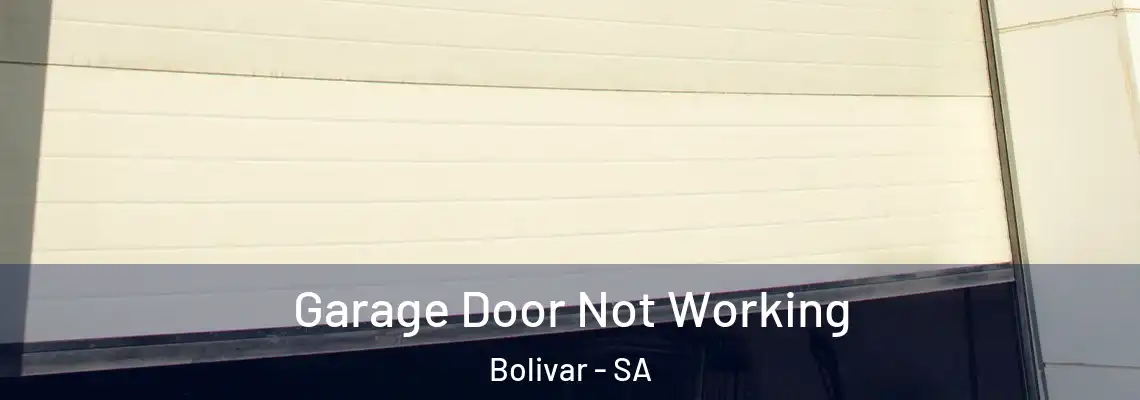 Garage Door Not Working Bolivar - SA
