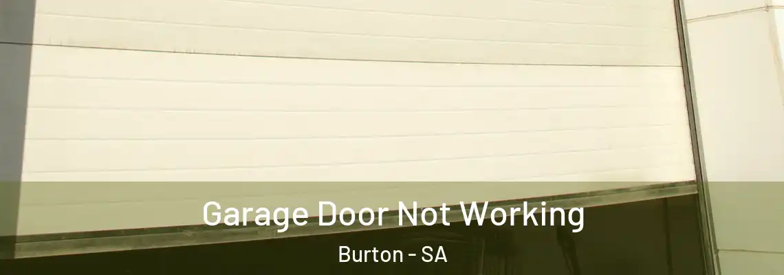  Garage Door Not Working Burton - SA