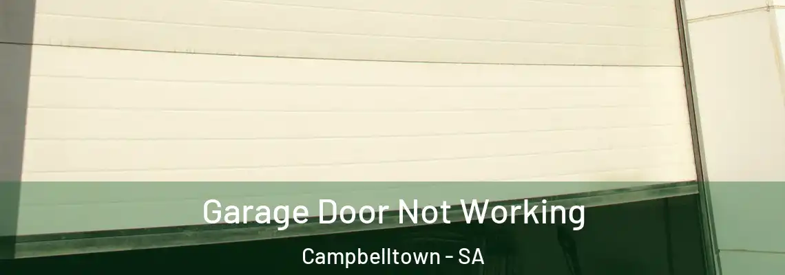 Garage Door Not Working Campbelltown - SA