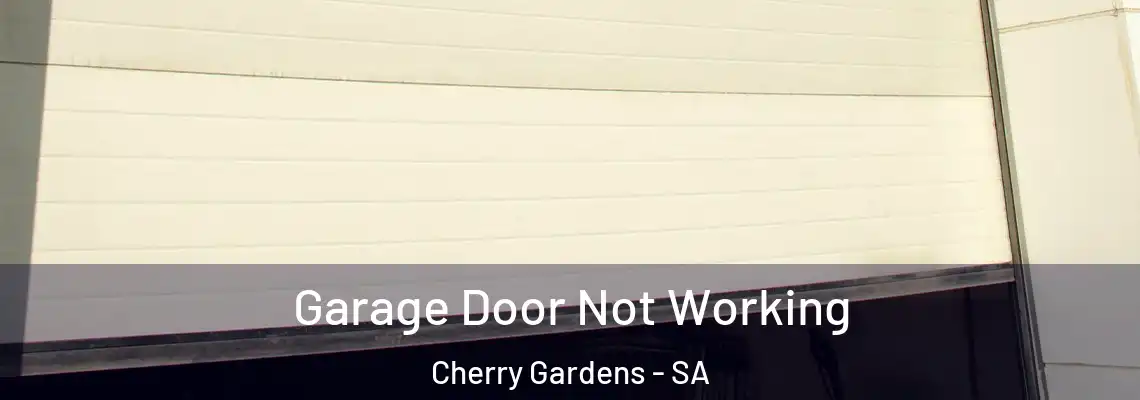 Garage Door Not Working Cherry Gardens - SA