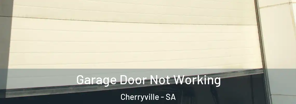 Garage Door Not Working Cherryville - SA