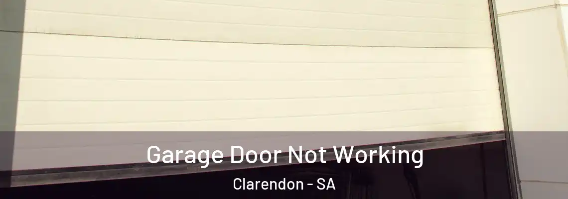 Garage Door Not Working Clarendon - SA