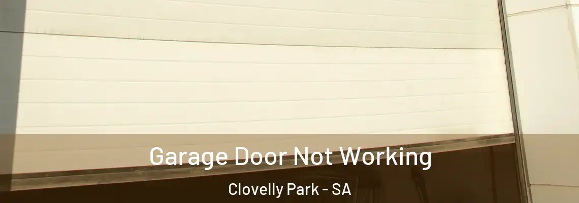 Garage Door Not Working Clovelly Park - SA