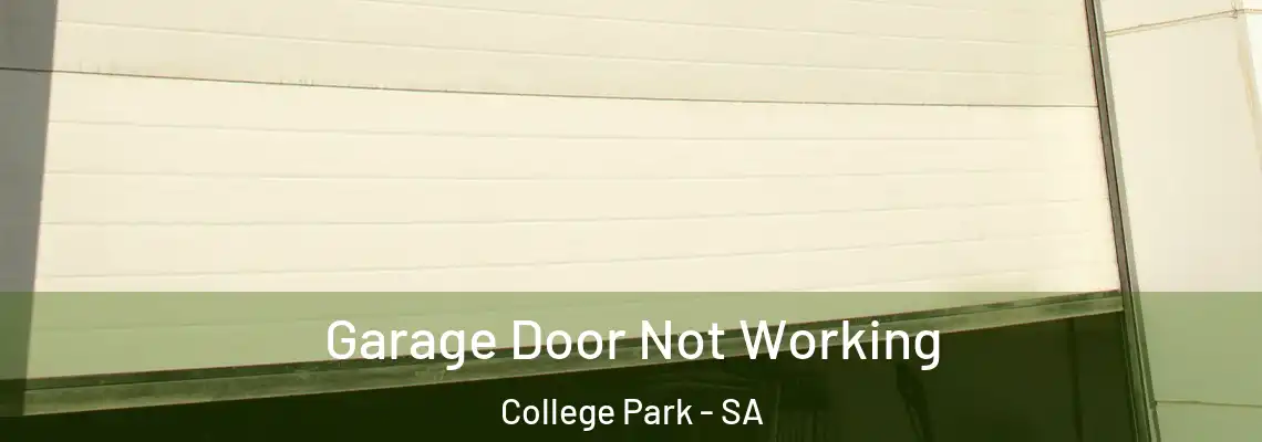 Garage Door Not Working College Park - SA