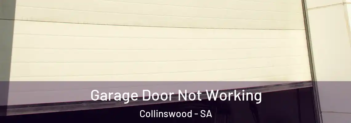 Garage Door Not Working Collinswood - SA