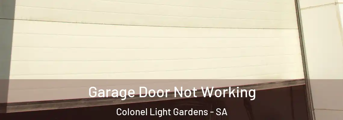 Garage Door Not Working Colonel Light Gardens - SA