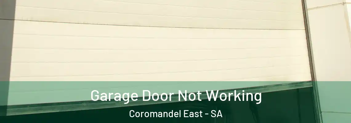  Garage Door Not Working Coromandel East - SA