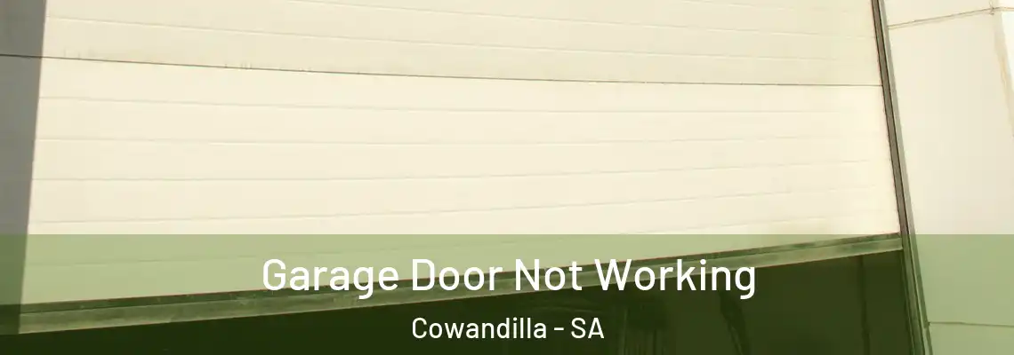 Garage Door Not Working Cowandilla - SA