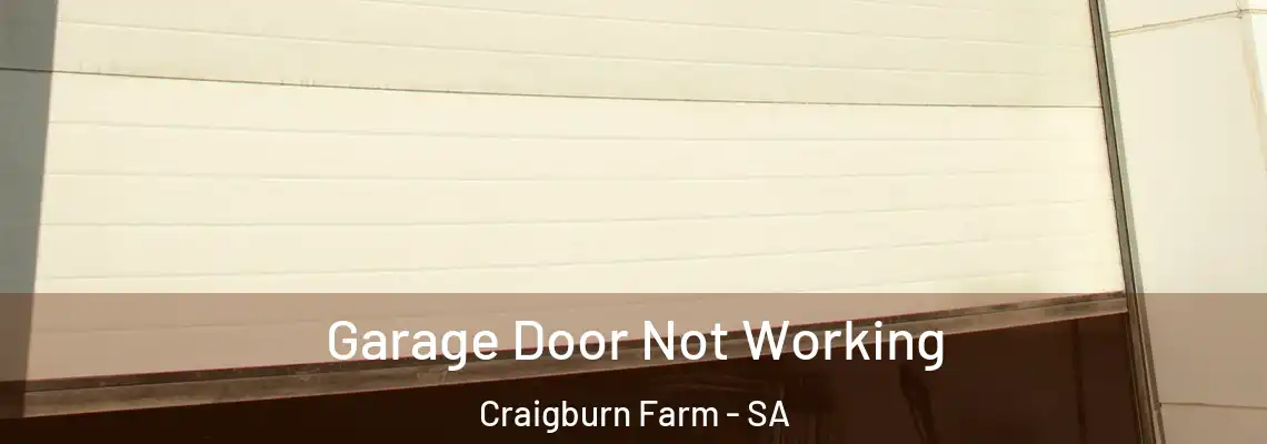 Garage Door Not Working Craigburn Farm - SA