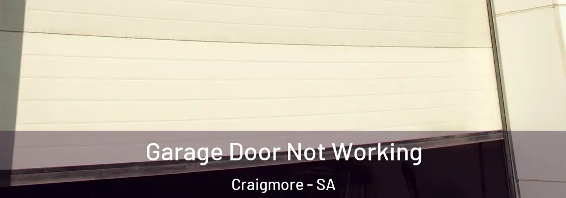 Garage Door Not Working Craigmore - SA