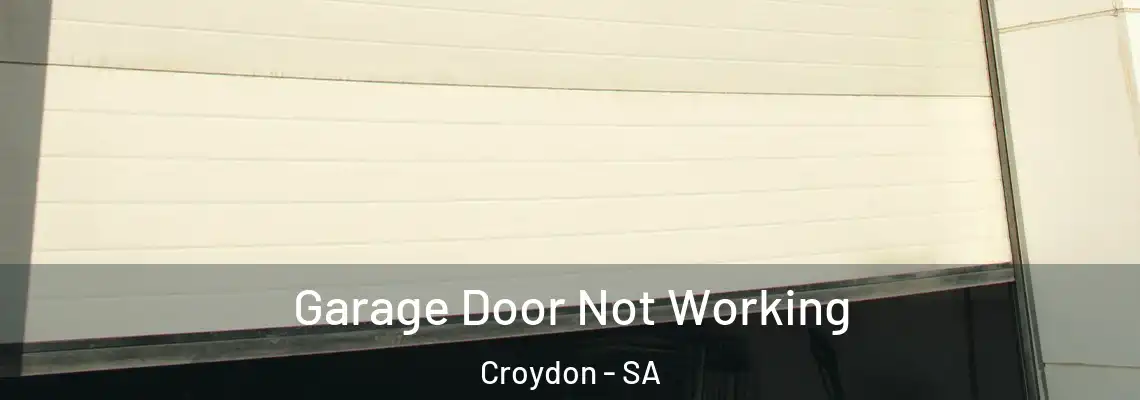 Garage Door Not Working Croydon - SA