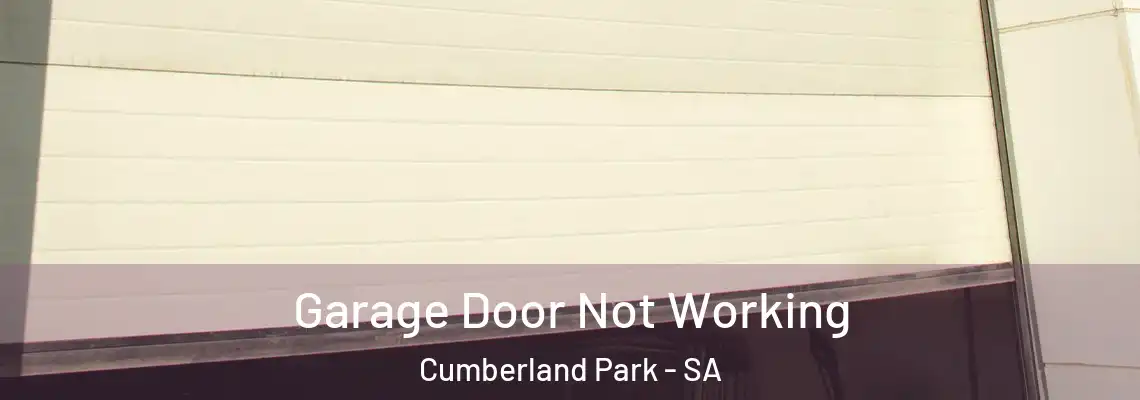 Garage Door Not Working Cumberland Park - SA
