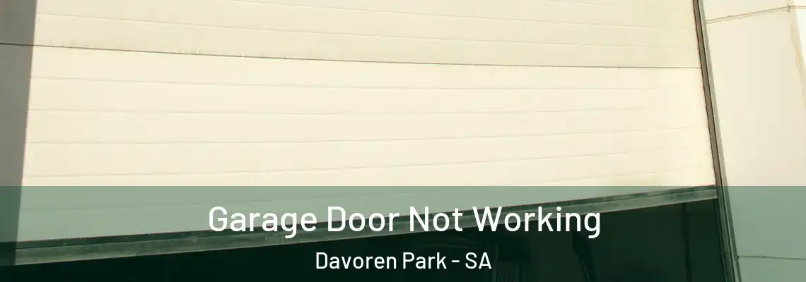 Garage Door Not Working Davoren Park - SA