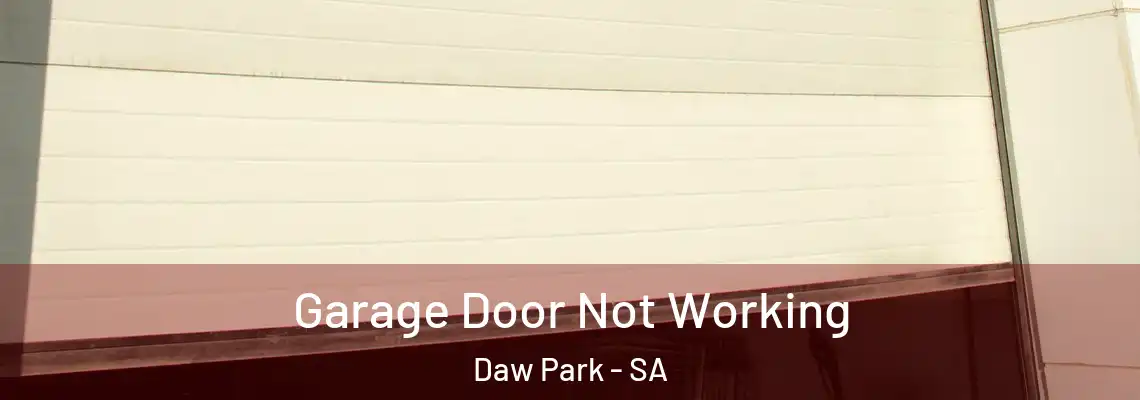  Garage Door Not Working Daw Park - SA