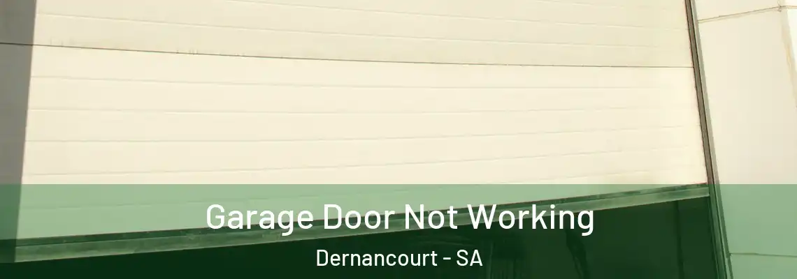 Garage Door Not Working Dernancourt - SA