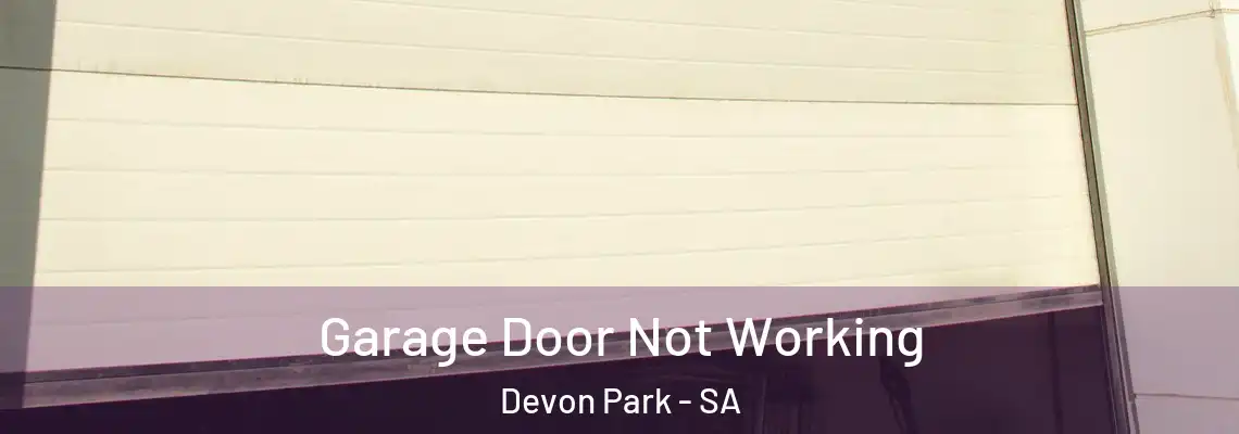 Garage Door Not Working Devon Park - SA